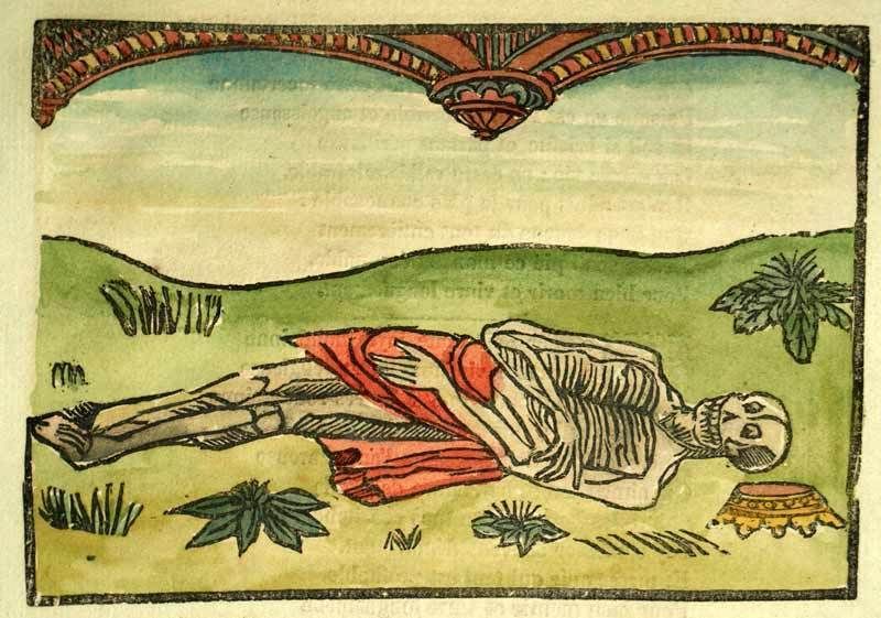 Skeleton in red drape lying in a landscape next to a crown.