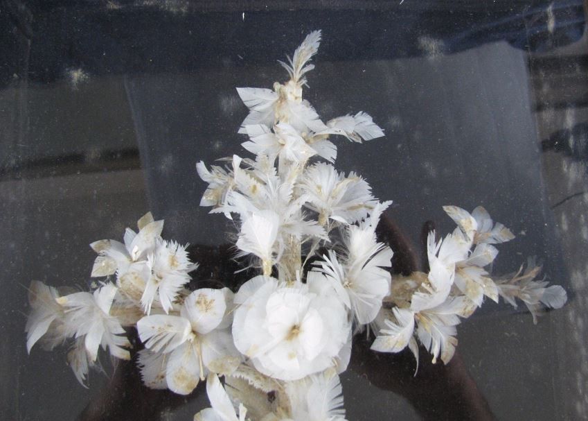 closeup of white feather cross
