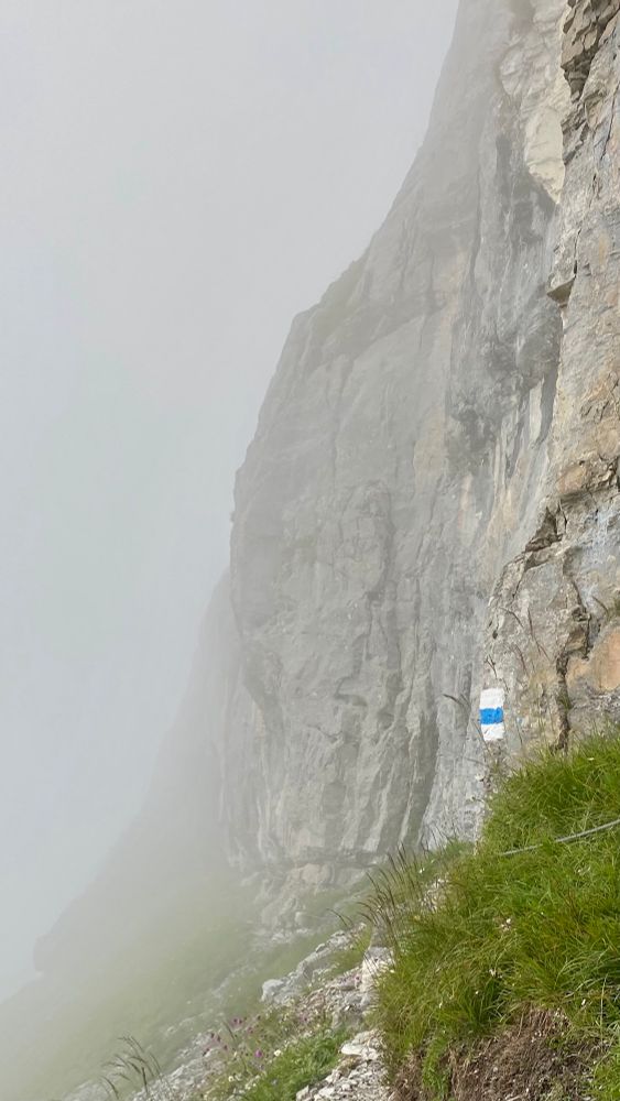 A rocky face in the fog, visible trail mark white-blue-white for more difficult alpine trails