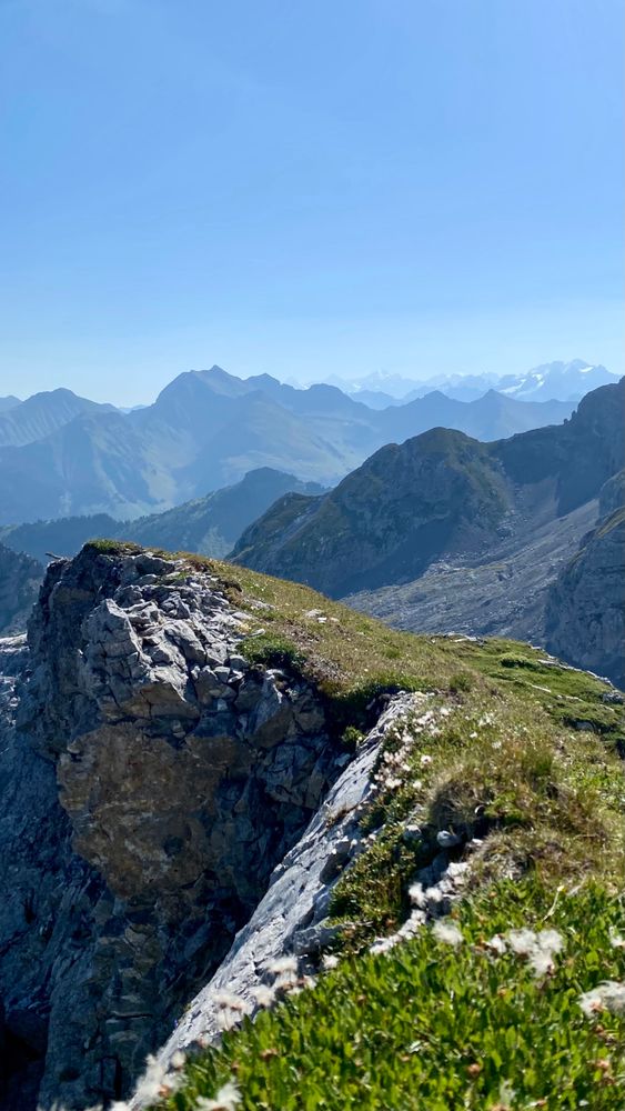 View from a small ridge half grass half rock to the bernese alps, some white summits on the skyline