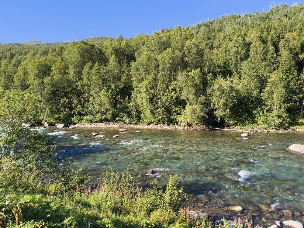 Salangselva, Troms county, Norway. The river runs left to right. The water is very clear and the rocky river bed is clearly visible through the water. Across the river is a densely wooded hillside.