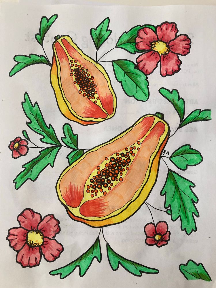 Coloring sheet with papaya, leaves, and flowers, colored in orange, yellow, melon pinks, and greens.