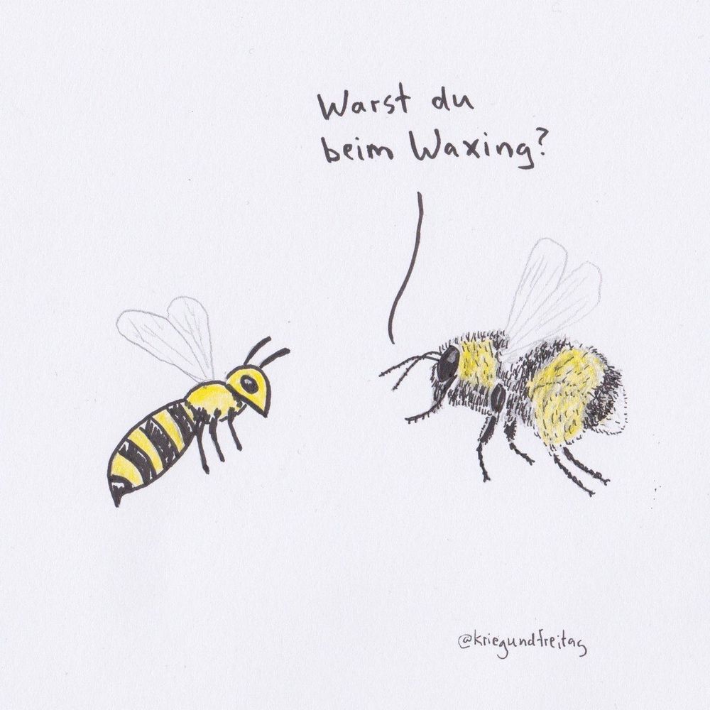 Eine Hummel fragt eine Wespe: warst du beim Waxing?