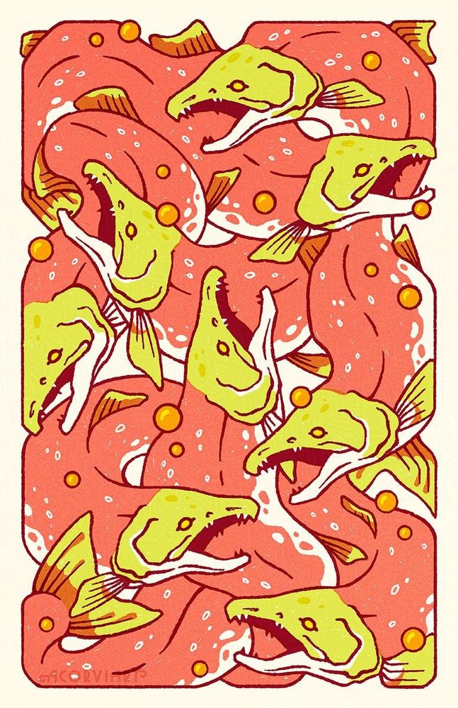 Risoprint-esque illustration of spawning salmon twisting around each other to fill the canvas. Eggs are interspersed between the salmon.