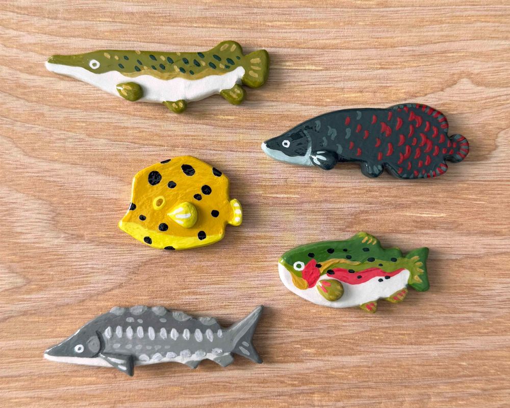Air dry clay magnets of a gar, arapaima, box fish, rainbow trout, and sturgeon.