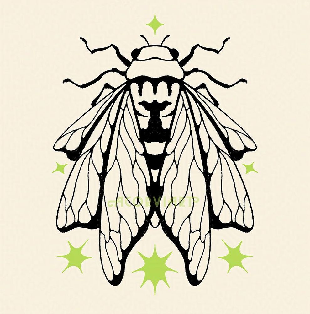 Illustration of a multi-winged cicada surrounded by green starbursts.