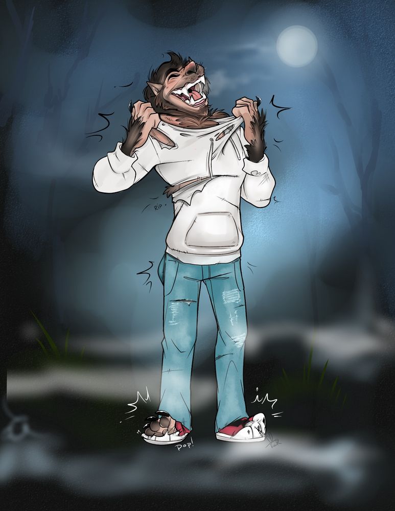 Drawing of the man continuing to turn into a werewolf. His head is back in a happy snarl as his face extends into a muzzle. His clawed toes burst out of his shoes. He pulls at the collar of his hoodie, shredding it.