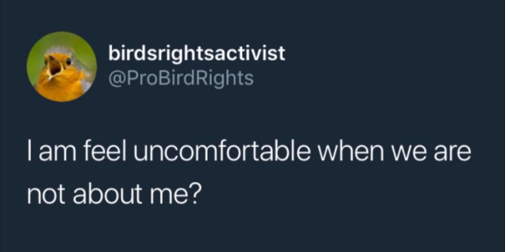 Birds rights activist post: I am feeling uncomfortable when we are not about me?