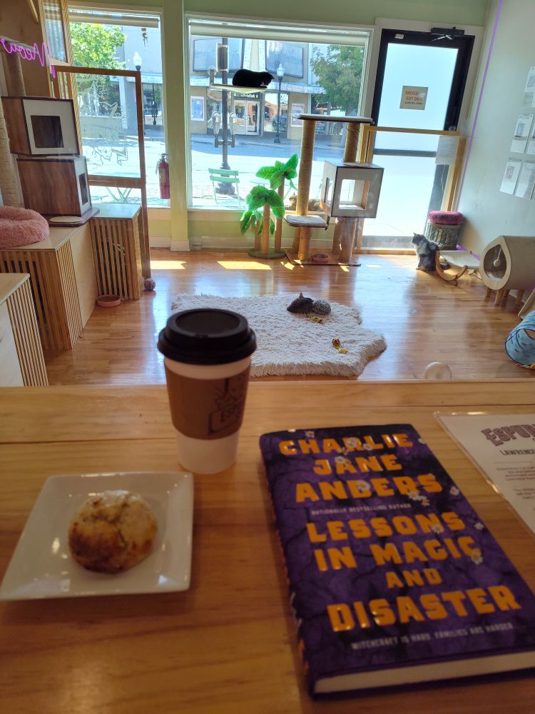Foreground: the book, a scone, and a latte. Background: cat room at a cat cafe with benches and cat furniture around the edges and a white faux fur rug in the middle. A tiny kitty is curled up on the rug and a couple adult cats are along the back wall near the windows.