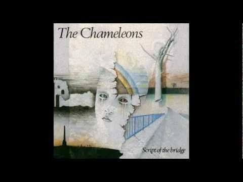 THE CHAMELEONS - Monkeyland