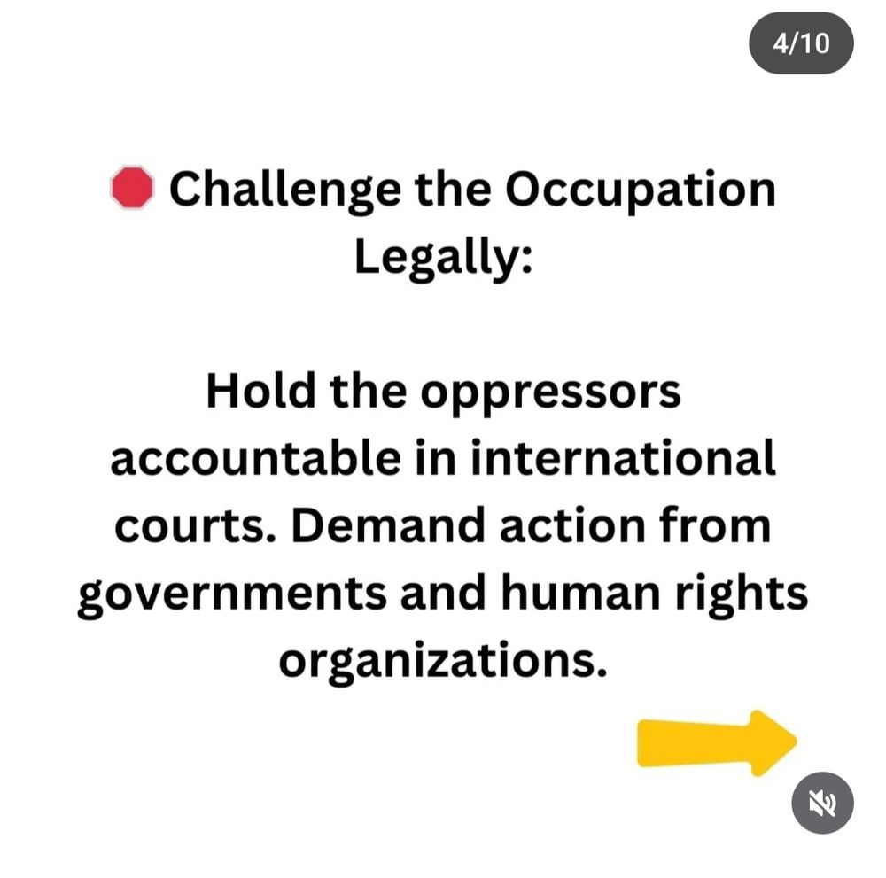 • Challenge the occupation legally:
Hold the oppressors accountable in international courts. 
Demand action from governments and human rights organizations.
