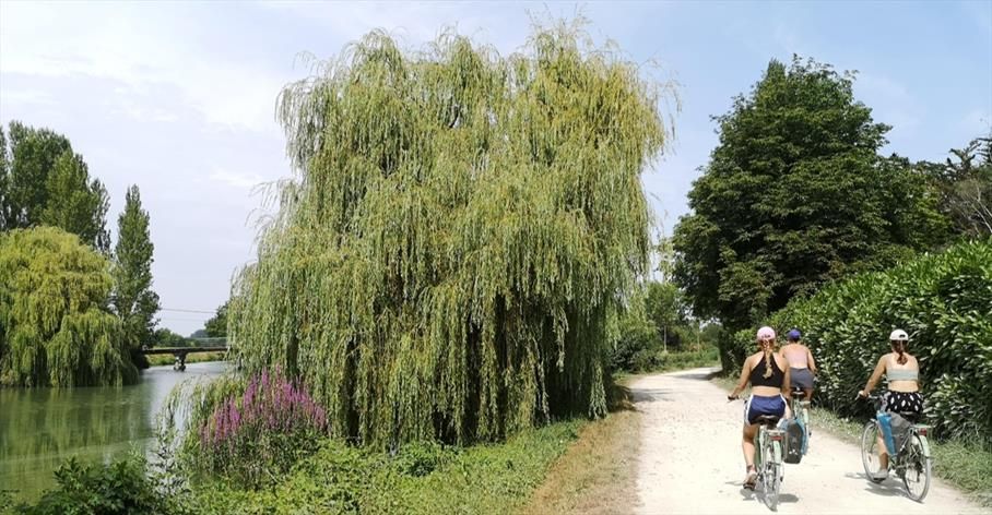 Marais poitevin : 149.000 € pour les routes forestières de Coulon