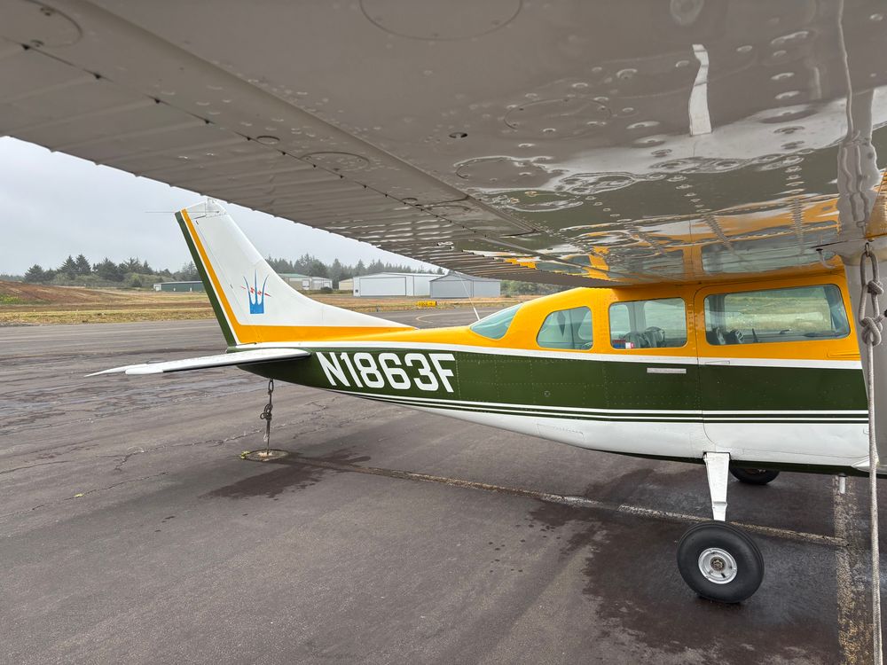 Beyond gorgeous forest green and gold plane with retro stripes