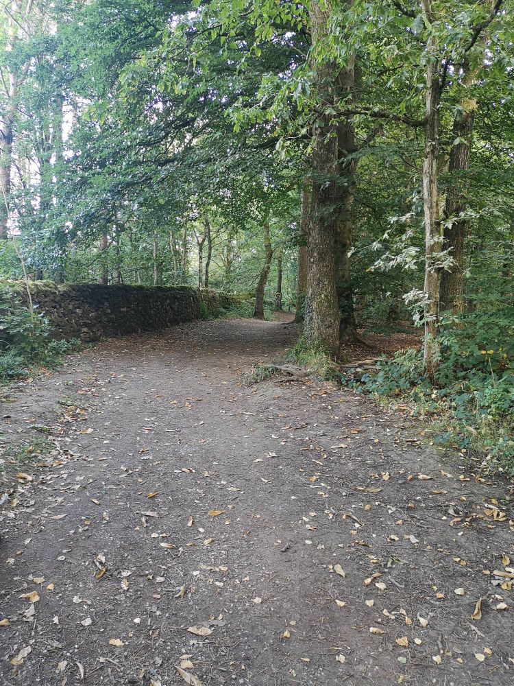 A path in the woods, on one of the trees in the distance their is a face of a Beatle 