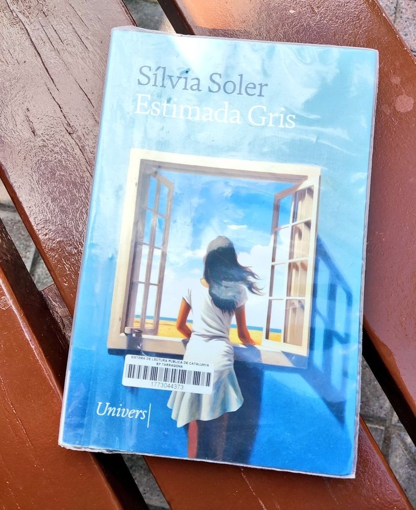 Llibre "Estimada Gris", de Sílvia Soler.