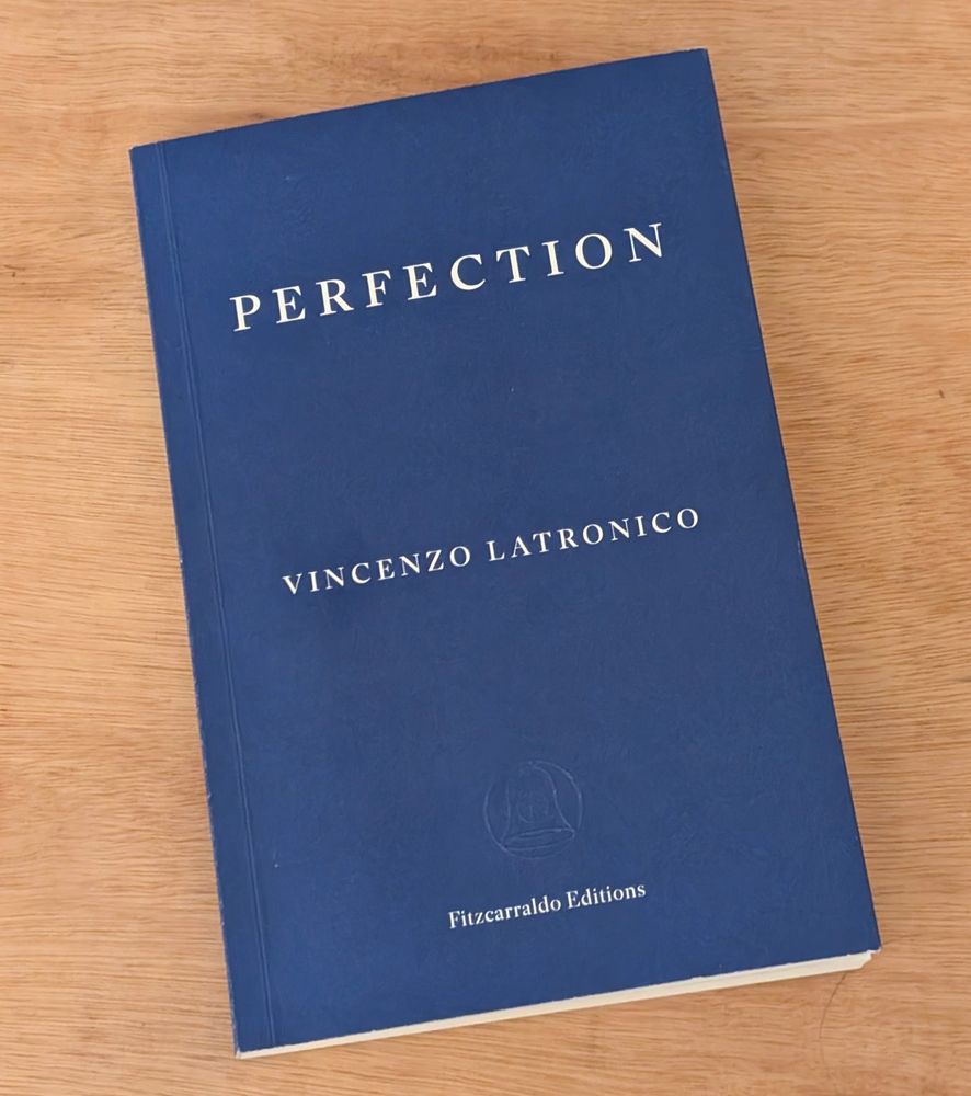Photo of ‘Perfection’ by Vicenzo Latronico