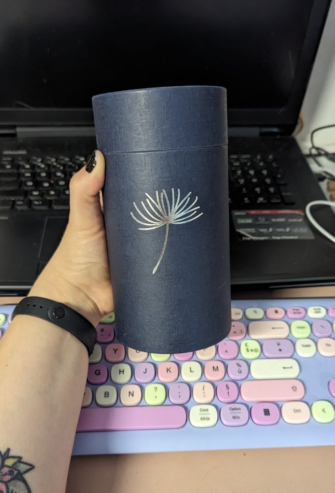 Une urne avec les cendres d'un chat