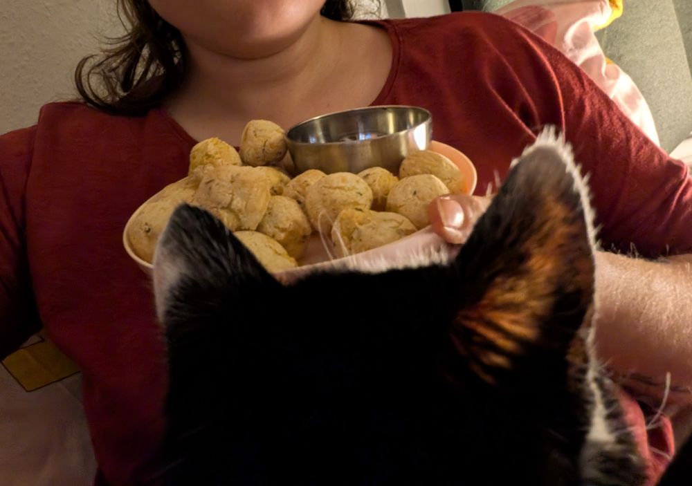 Selfie von mir wie ich einen Teller mit Kartoffelbällchen trage, im Vordergrund sieht man nur den schwarzen Hinterkopf und Öhrchen von Yoku 