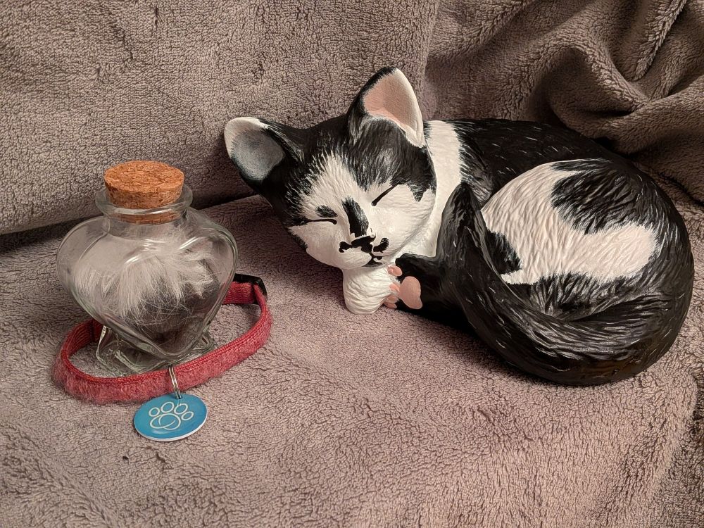 Eine kleine Urne, geformt und angemalt wie die schwarz weiße Yoku beim schlafen, liegt neben einem kleinen Glas mit ihrem Fell und ihrem Halsband. 