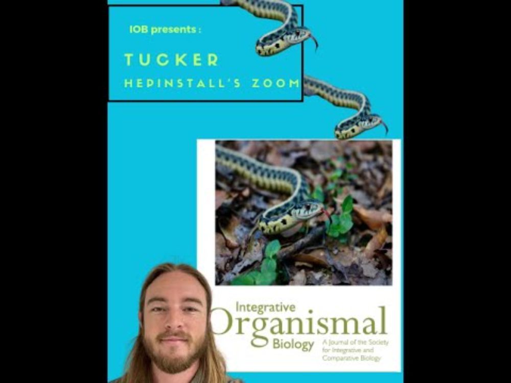 IOB co author -Tucker' Hepinstall- July 2025