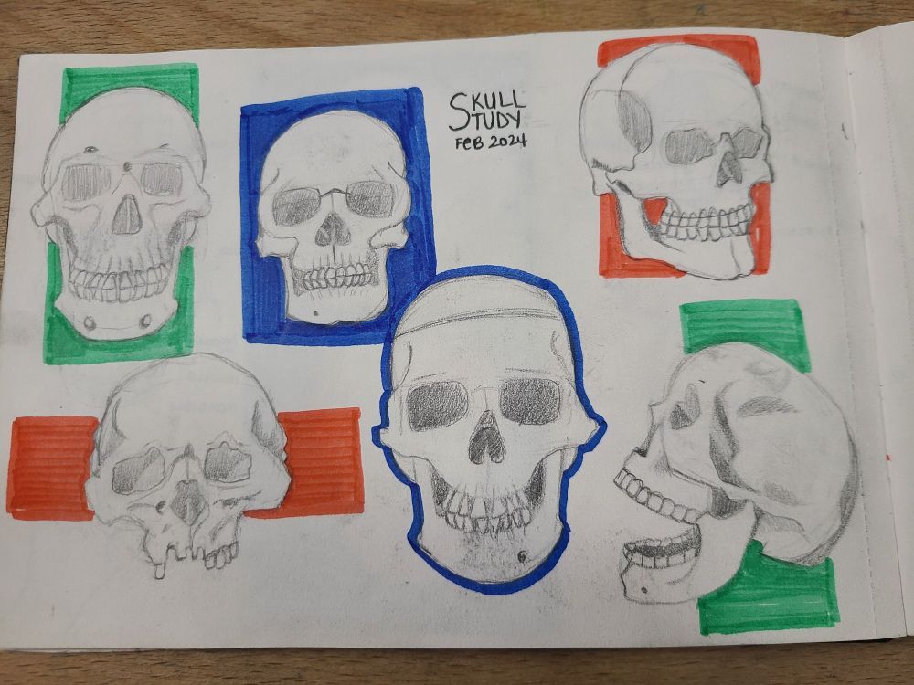 sketchbook pages of skulls done with graphite and backgrounds with marker