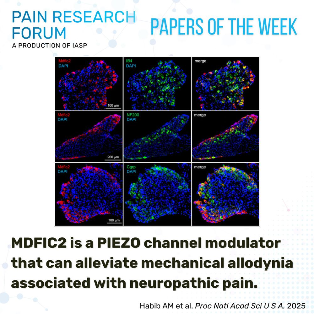 PRF 24 November 2025