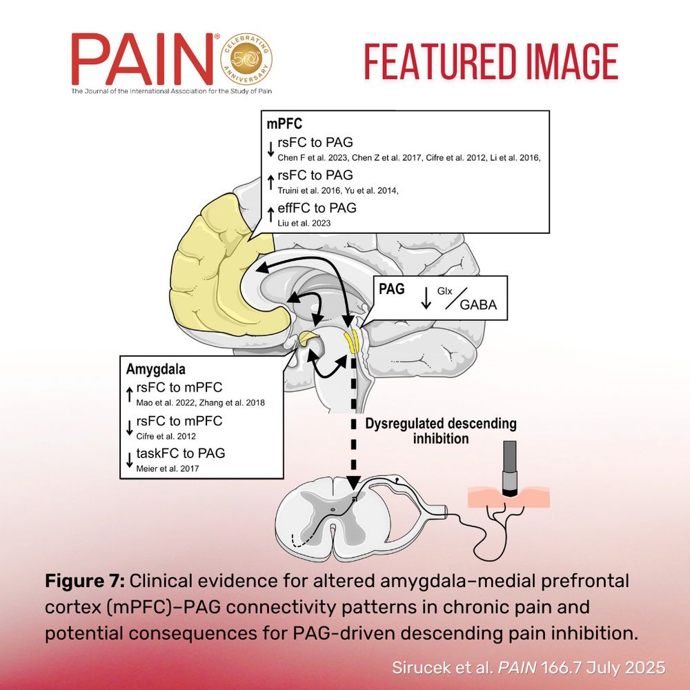 PAIN Featured image 4 July