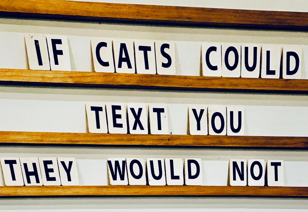 Photo of a sign that says, “If cats could text you, they would not.“
