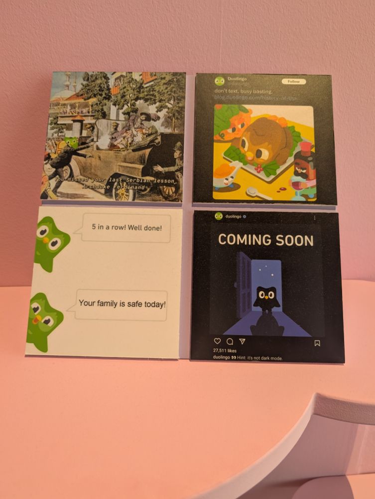 Four Duolingo memes printed on paper and on display in front of a pink museum wall.

Top left: Duo as Gavilla princip telling archduke Franz Ferdinand that he hasn't completed his Serbian lesson today 

Bottom left: "five in a row! Well done! Your family is safe today!"

Top right: Fake tweet with picture of Duo roasted on a bed of greens with the text:" don't text. Busy basting." The bottle of Worcestershire sauce next to Duo has a luscious mustache like the Duolingo character 

Bottom right a tweet with a picture of Duo standing in a hallway with a star field behind him and the caption "coming soon"