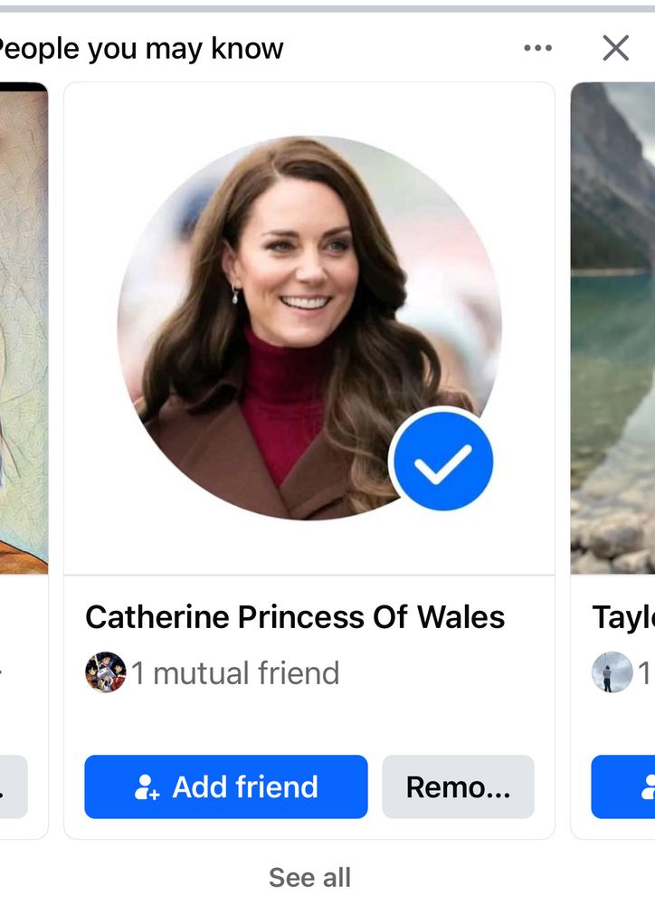 Screen grab of a friend recommendation showing 1 mutual friend with princess Kate 