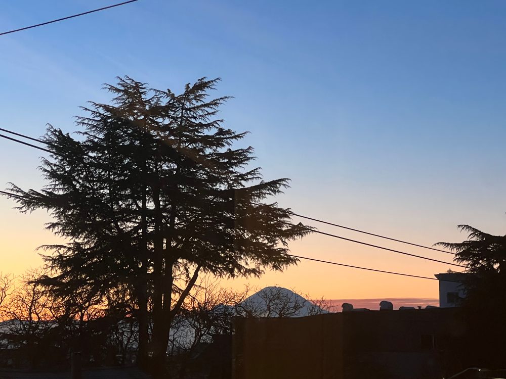 A sunrise feature Mt. Rainier (Mt. Tacoma), a tree silhouette, and some power lines. 
