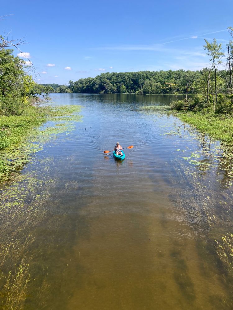 A woman in a kayak pedals in a lake toward the pedestrian/bike bridge from which this photo is taken.