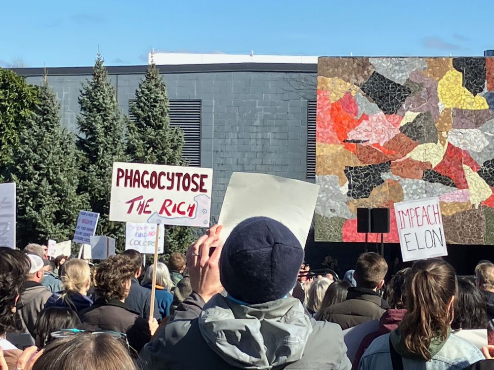 Protest with a sign reading "Phagocytose the rich"