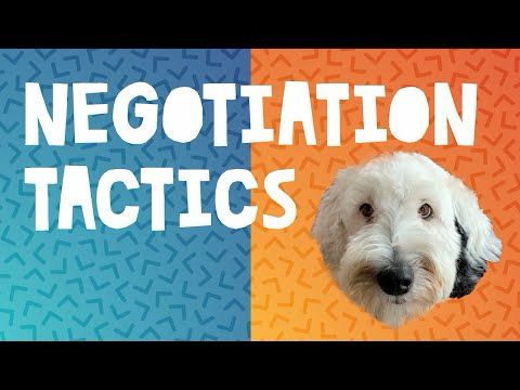 Bunny The Negotiator - Bunny The "Talking" Dog