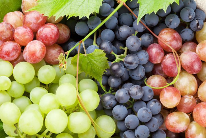 Picture of fresh grapes.