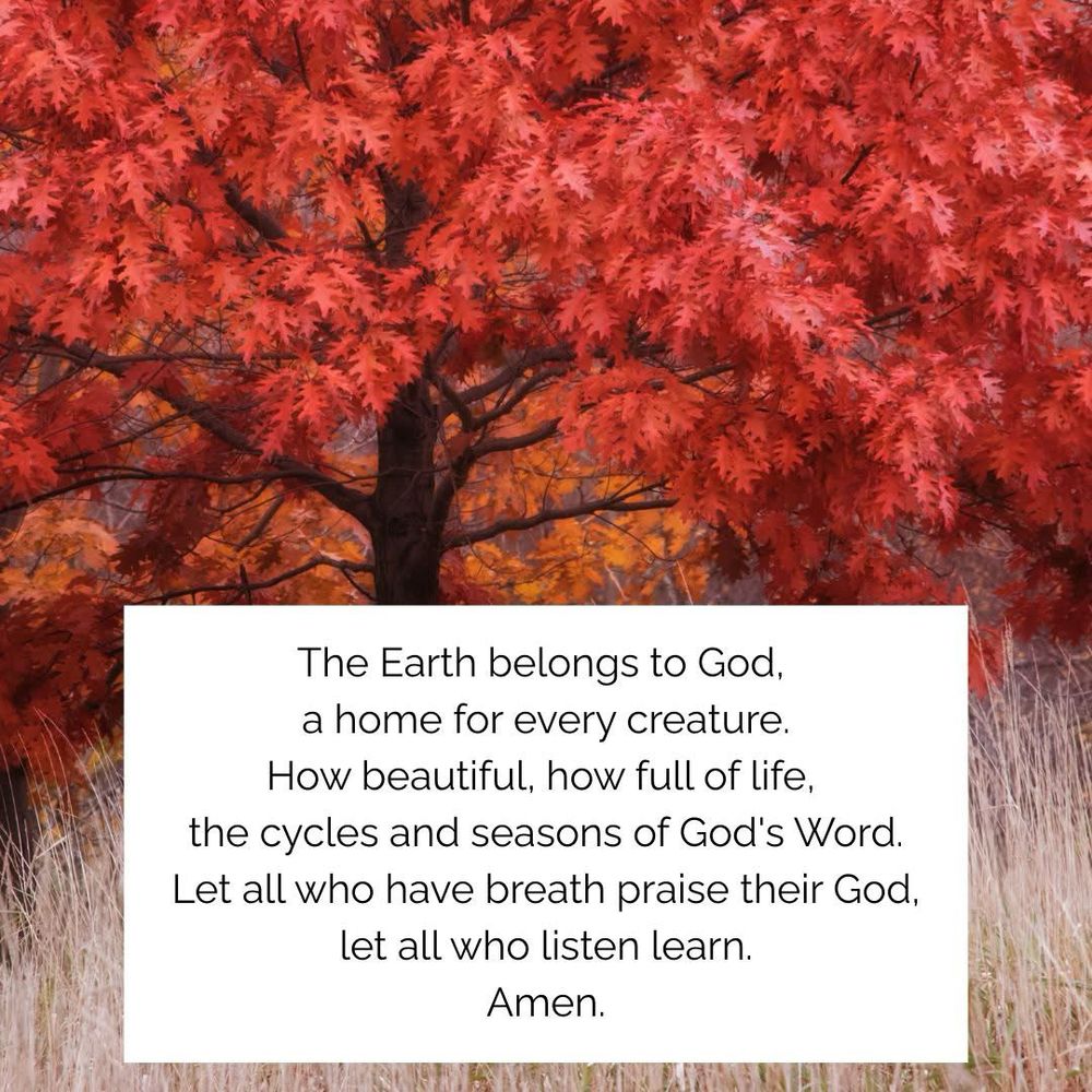 The Earth belongs to God, a home for every creature.
How beautiful, how full of life, the cycles and seasons of God's Word.
Let all who have breath praise their God, let all who listen learn.
Amen.