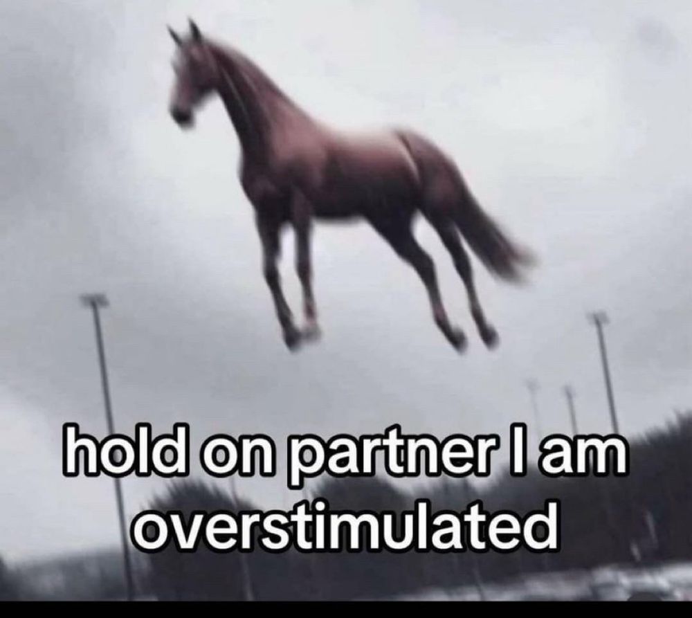 a horse that seems to be rapidly moving upward towards the sky with the text “hold on partner i am overstimulated”
