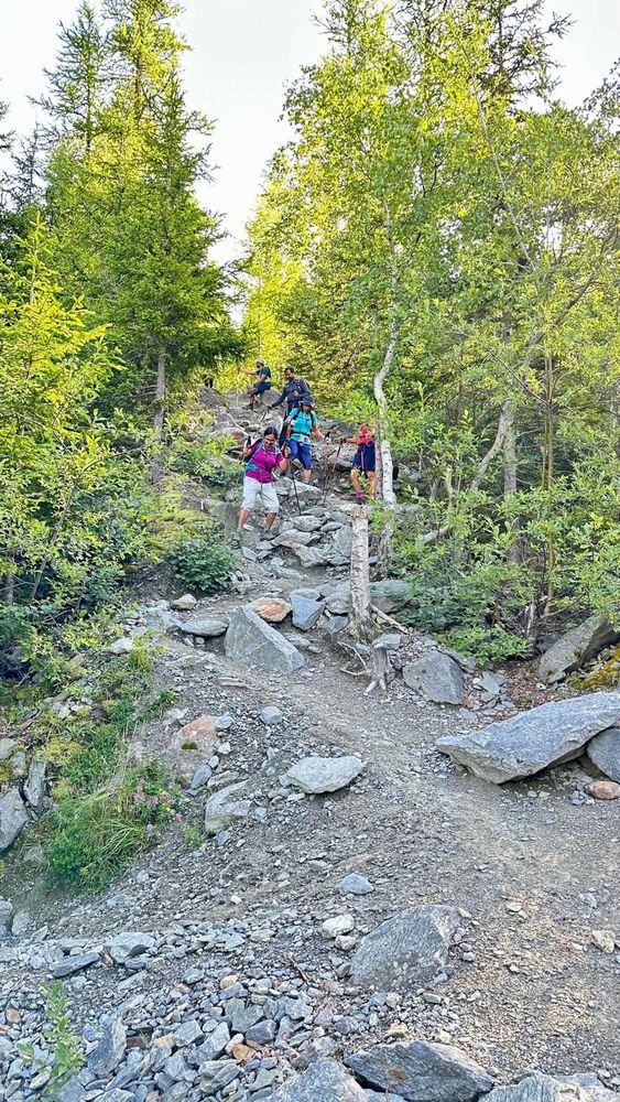 Trekkers descending a rocky steep path lined by trees. 