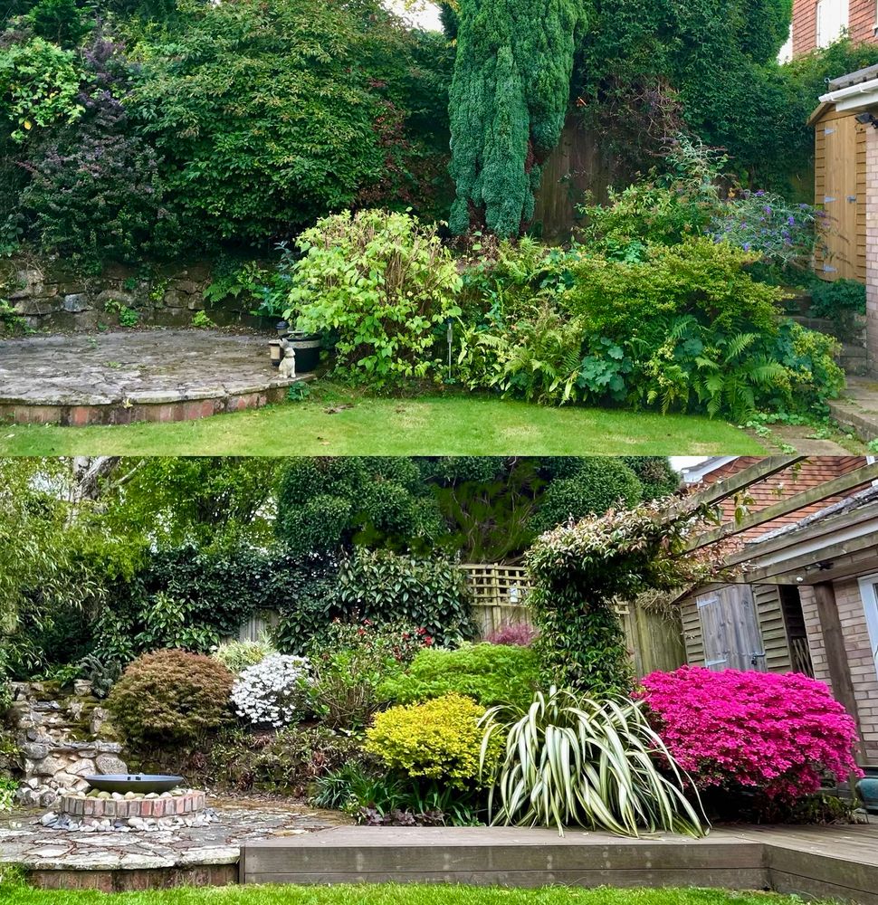 A collage showing a section of the same garden 10 years apart, with new plants and bushes including acers and a bright pink azalea replacing the messy old collection of plants. New decking has also been laid down bordering the lawn. 