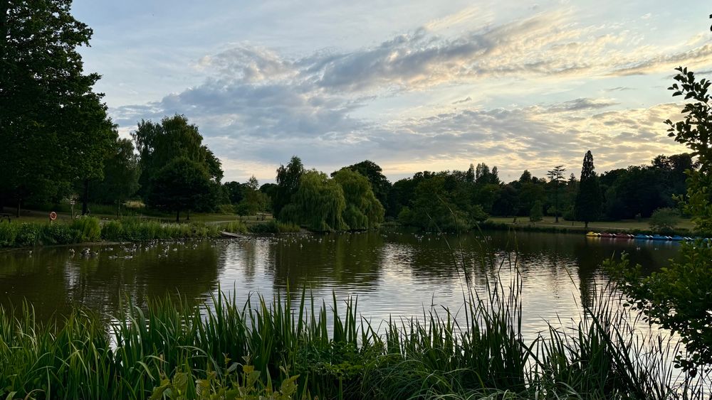 A peaceful twilight scene showing a lake surrounded by trees and by tall grass in the full ground. The sky is a pale blue, and clouds are backlit by the setting sun. 