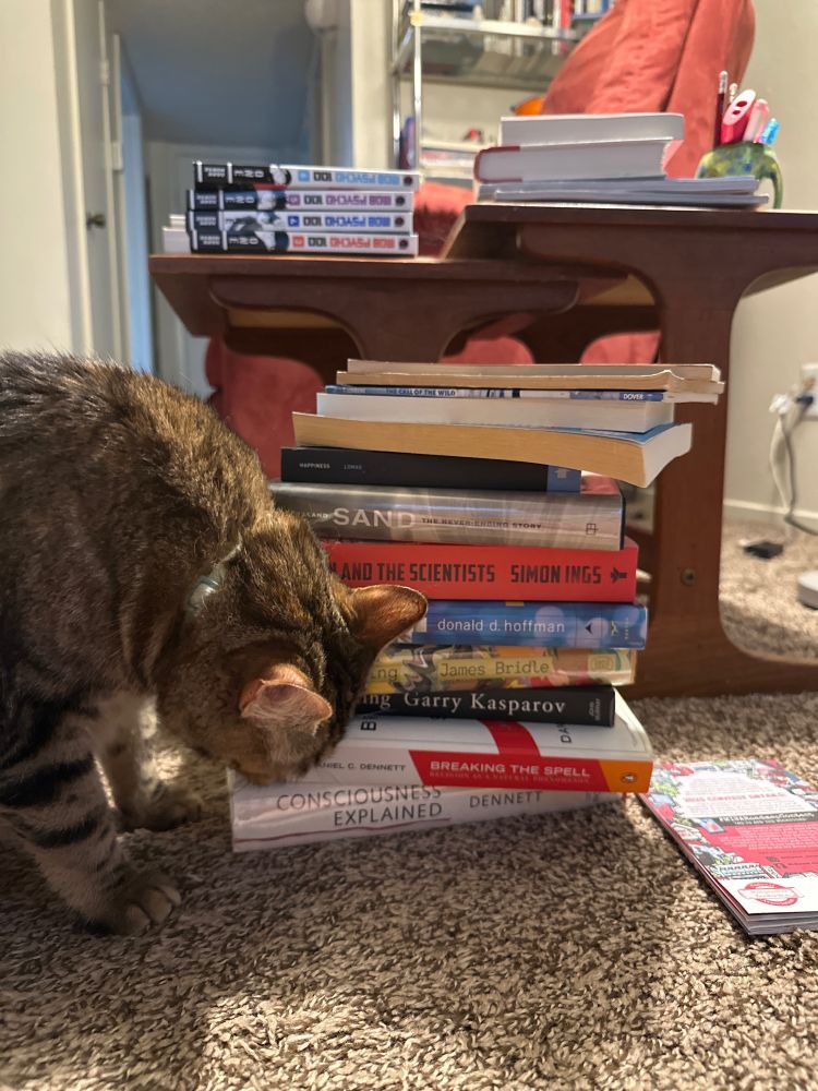Three stacks of books, with a cat for scale. Not pictured is a fourth stack, hidden behind the top left stack.