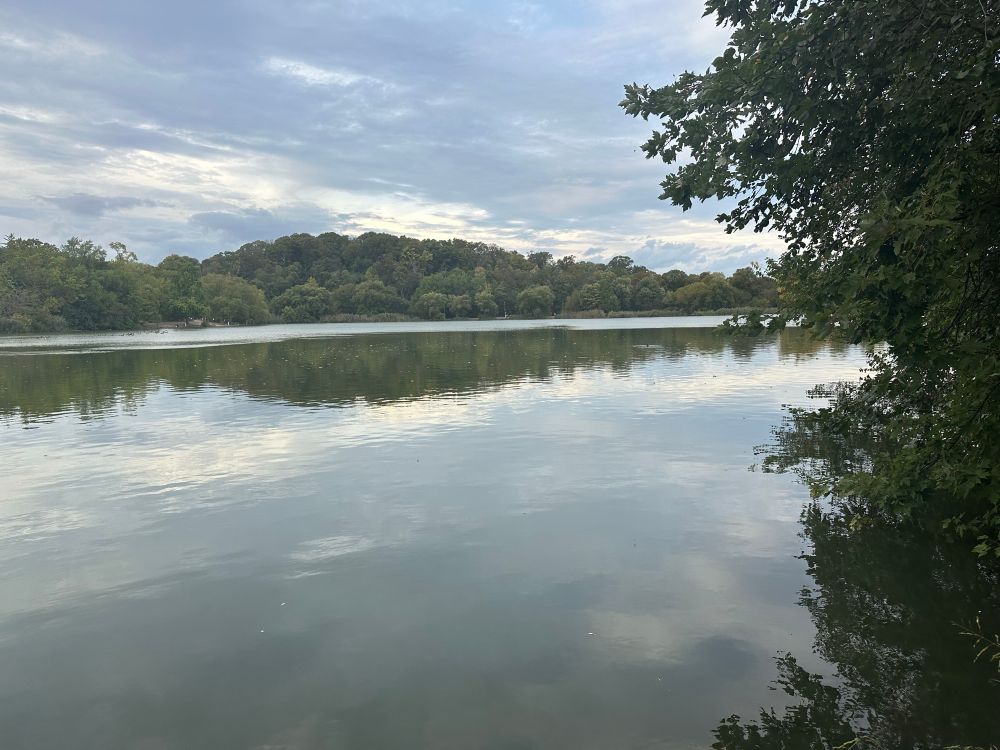 Large water pond in foreground. Far shore is covered in trees. Cloudy sky
