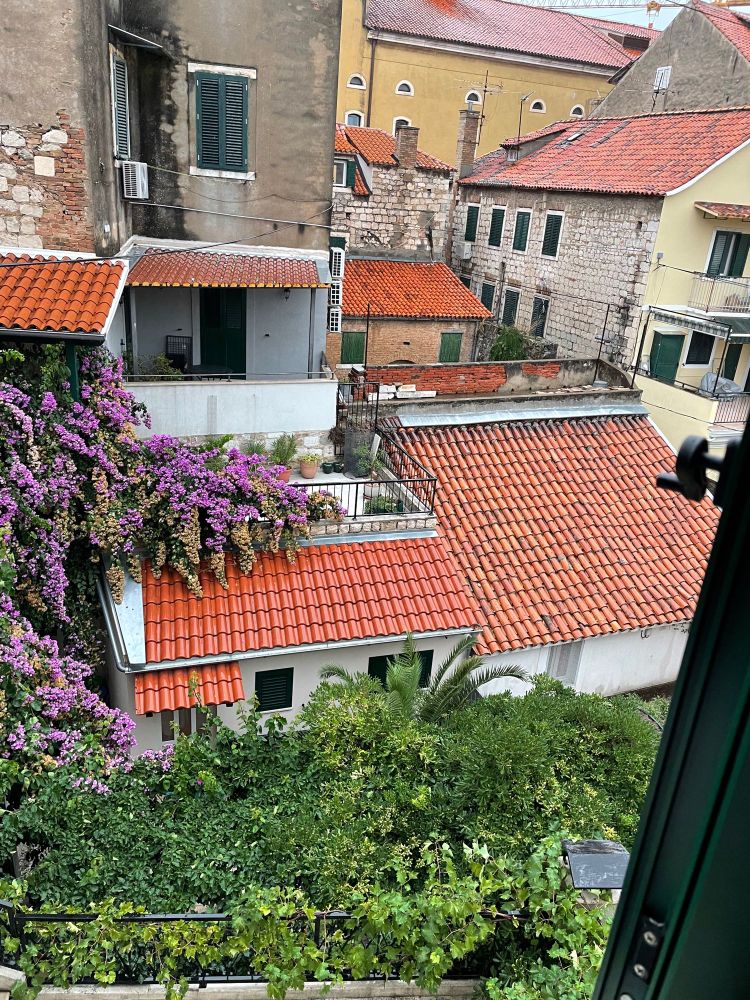 Damp layered red tile roofs of an inner courtyard with green foliage and purple flowers. Split, Croatia. 