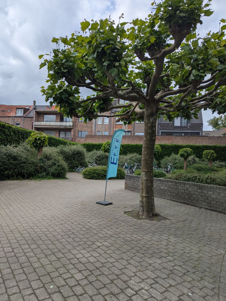 A picture of the approach to a venue for a conference. It is taken outside, has a tree in the foreground and an EFYE banner in the background. It is cloudy 