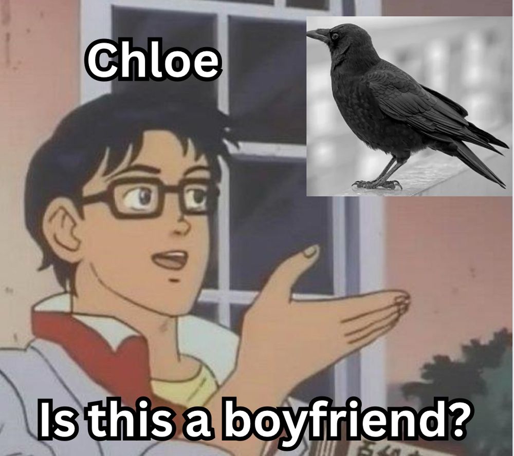 A still of an anime. (Is this __? viral meme.) A white man with short black hair looks pleased, gesturing at a picture of a raven. Caption reads:
Chloe: Is this a boyfriend?