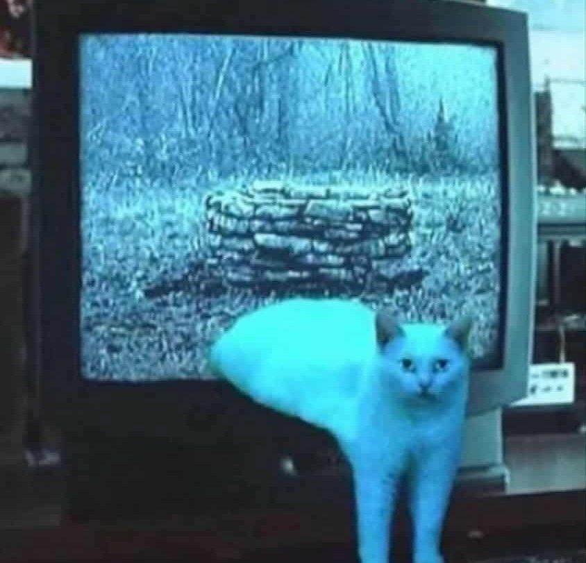 A white cat crawling out of a TV that is playing the movie The Ring