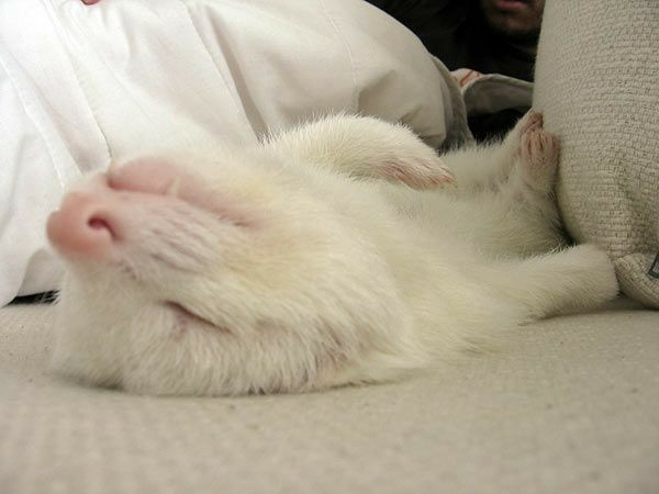 น้องเปียค้าบ ❤️