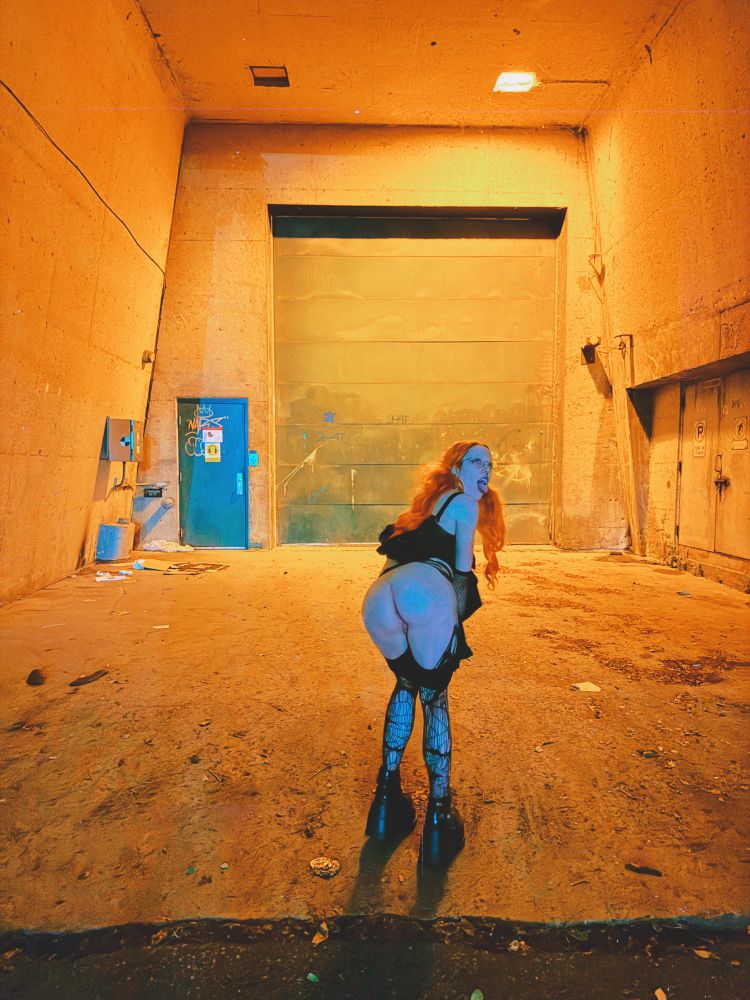 Heidi is out at night, there is no way of telling what is going to happen.
She is standing in front of a huge gate, with a small door next to it. The whole scene is covered in artificial yellow light, except for Heidi herself, who is lit in blue, while she  lifts up her black Lolita Style dress bends over and shows you her round juicy ass, while she looks back at you, sticking out her tongue. 
Oh yeah and there is a security camera watching everything.😈