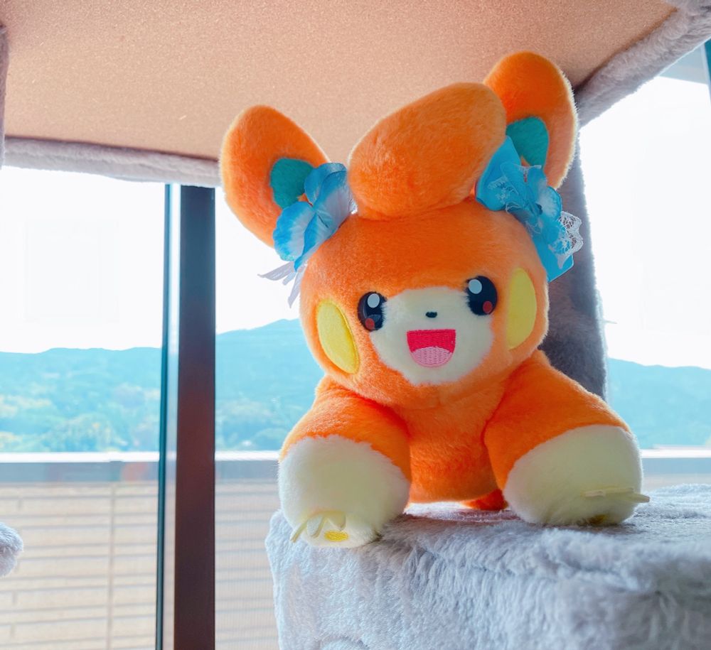 キミきめちゃんです！女の子！
2024年2月8日にオンラインから、ムッちゃんとクリモちゃんと一緒にきたよ。
うちで1番天真爛漫ってお母さん言ってたよ！てんしんらんまんってなに？
遊ぶの大好き♡お友達からもらったあじさいのリボンがお気に入り⭐︎
最近の夢は自転車に乗ること！びゅびゅ〜んって行きたいな🤭
こんな私だけどよろしくねー♪