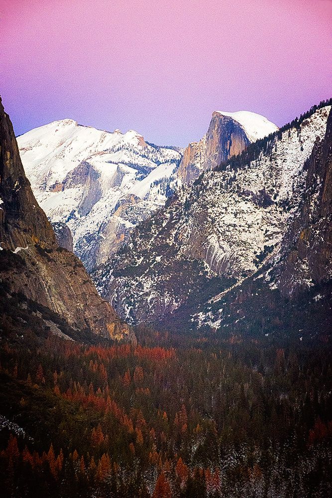 Yosemite Valley, at around dusk in winter. The sky is pink, there is snow on the mountains including Half Dome, and many of the trees below are red and orange 